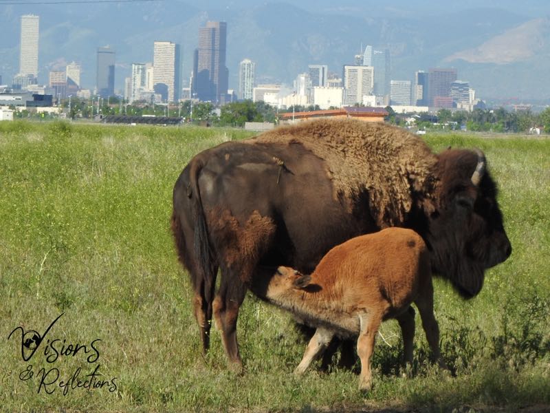 Modern Mother and Child of An Ancient Age