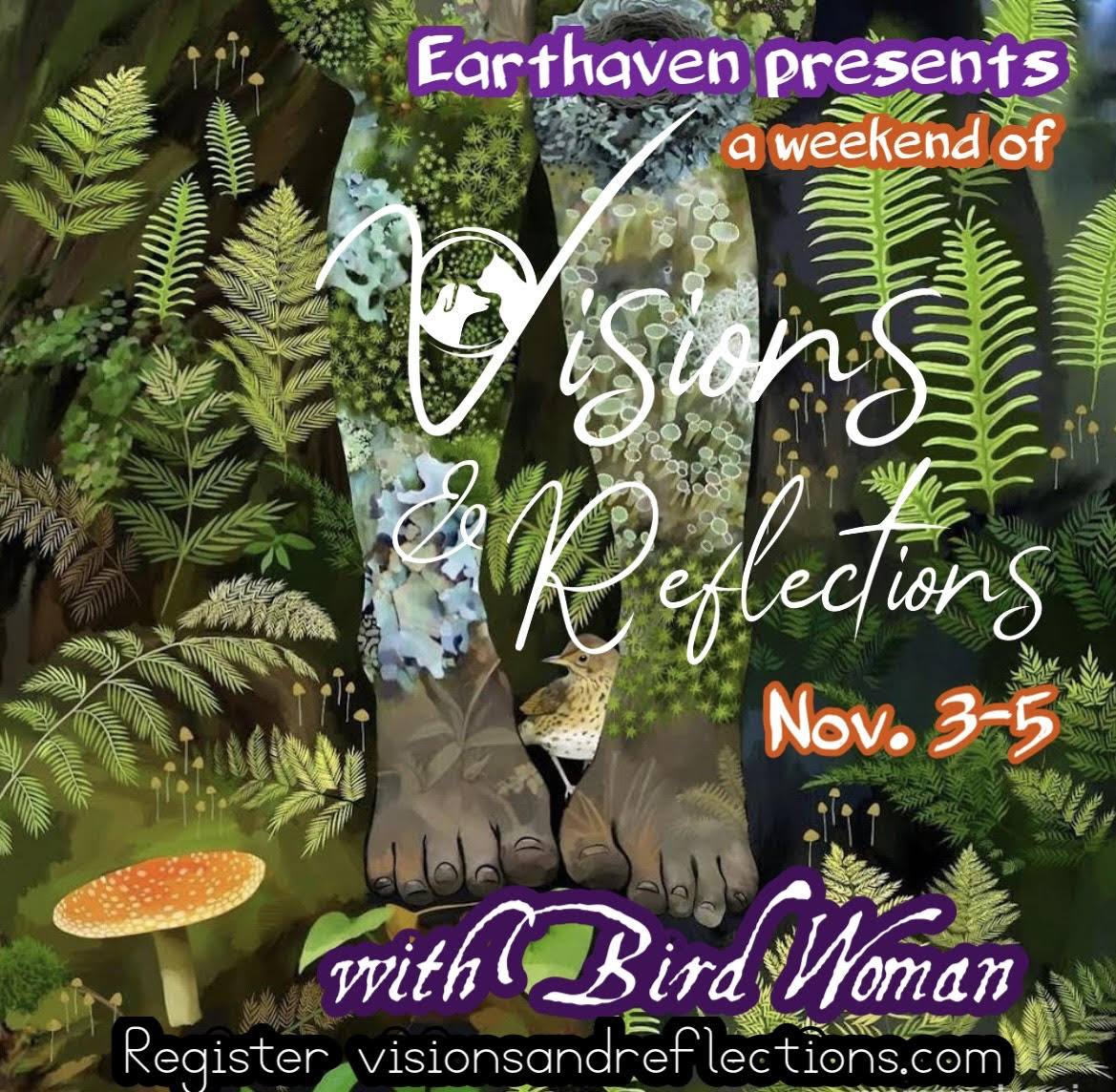 A Weekend of Visions and Reflections at Earthhaven